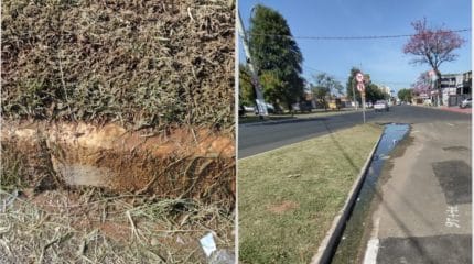 Empoçamento em canteiro na Rua 14 gera reclamação