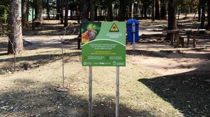 Parques de Campinas têm placas de alerta para possibilidade de transmissão de febre maculosa