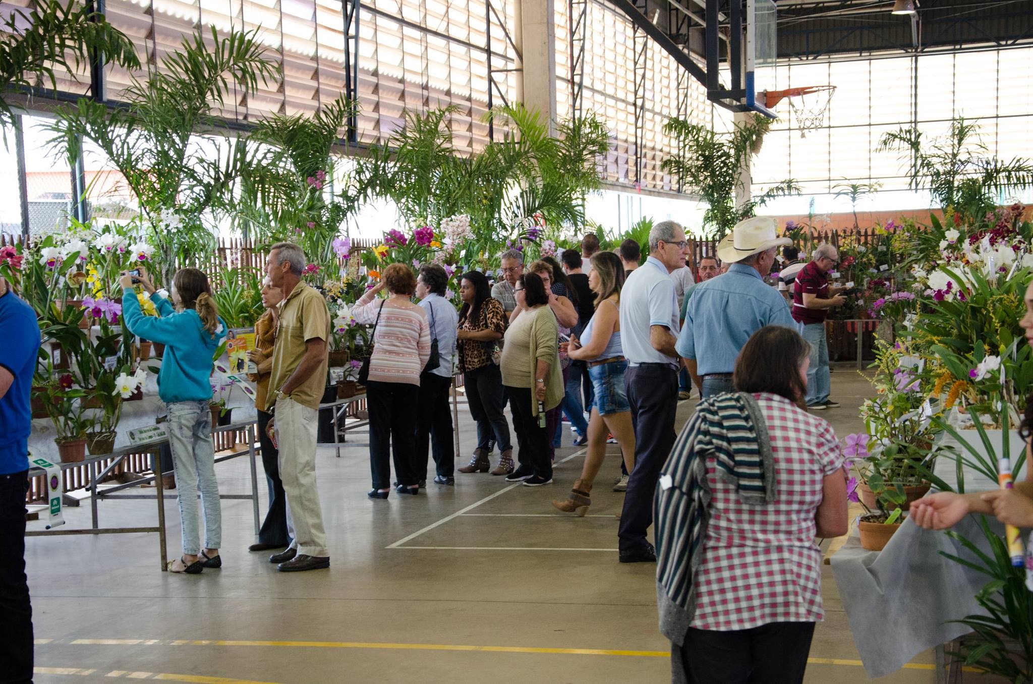 Orquídeas encantam em exposição no Claretiano