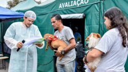 Rio Claro agenda castração animal gratuita