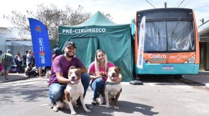 Rio Claro castrou gratuitamente 312 animais no sábado e domingo (20), atendendo 200 cães e 112 gatos, machos e fêmeas.