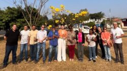 Mulheres que superaram câncer de mama fazem plantio de árvores