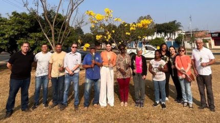 Mulheres que superaram câncer de mama fazem plantio de árvores