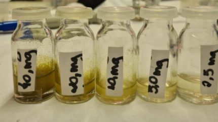 Estudo avalia Cannabis para combater carrapatos em pets