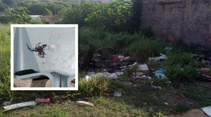 Vila Nova: terrenos com mato alto e lixo geram reclamações no bairro