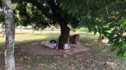 Na Praça da Boa Morte, “acampamento” montado por pessoa em situação de rua foi registrado por vizinho da região