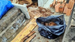 Sacos que estavam sendo utilizados em exumação em Rio Claro