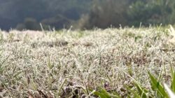 Inverno começa no Hemisfério Sul com tempo seco, baixas temperaturas e formação de nevoeiros no Sudeste, marcando a estação mais fria do ano. Foto: Ana Julia Guerreiro Galvão