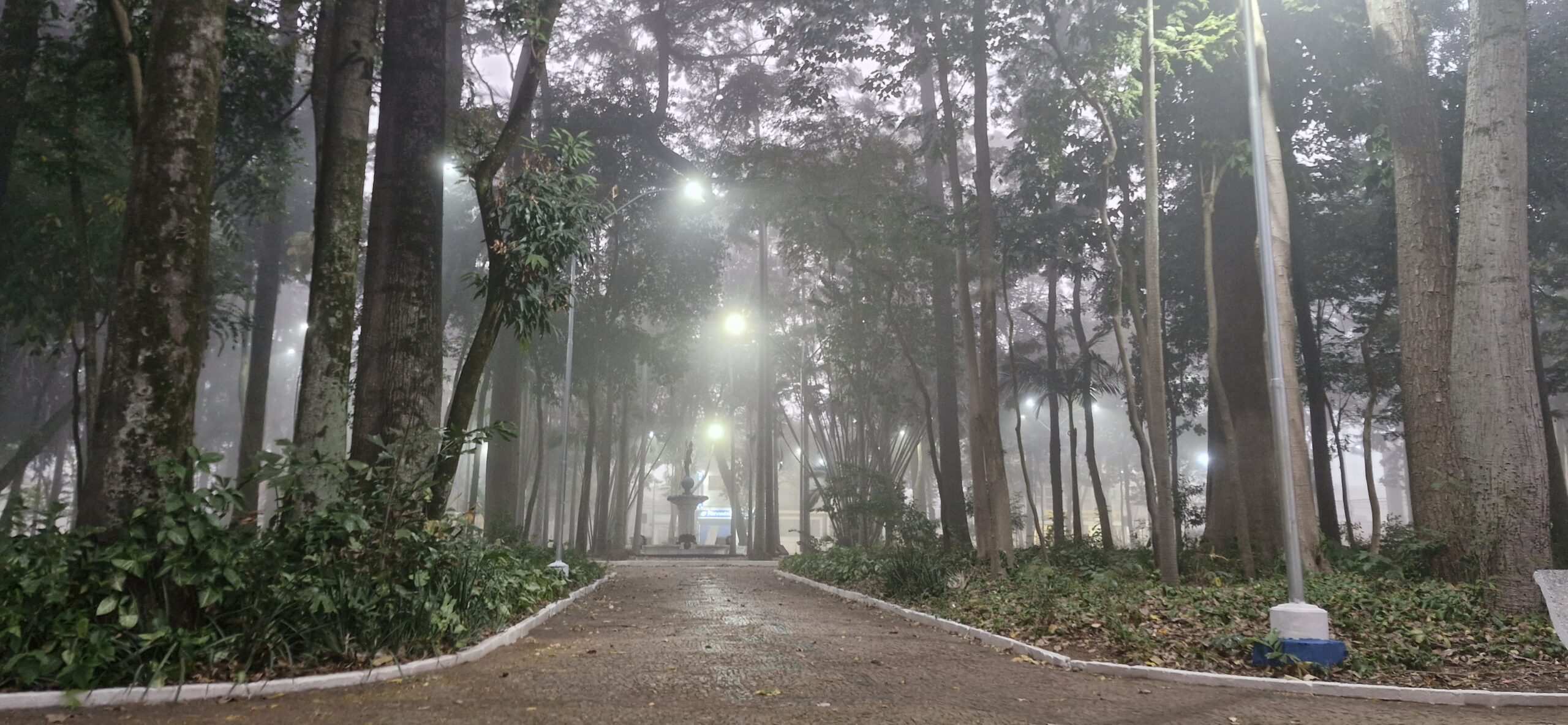 Nas primeiras horas da manhã, o Jardim Público de Rio Claro apresentava um cenário diferenciado, encoberto por denso nevoeiro que marcou o amanhecer na cidade