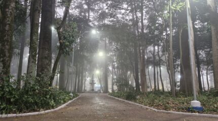 Nas primeiras horas da manhã, o Jardim Público de Rio Claro apresentava um cenário diferenciado, encoberto por denso nevoeiro que marcou o amanhecer na cidade