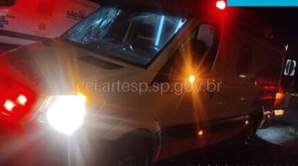 Uma ambulância do Samu atropelou um cavalo na SP-191, em Rio Claro. Apesar da colisão e da morte do animal, todos os ocupantes do veículo saíram ilesos. A rodovia foi interditada temporariamente para a remoção do cavalo