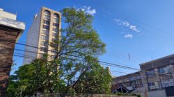Dia de sol em Rio Claro; céu azul; ensolarado; dia quente