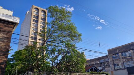Dia de sol em Rio Claro; céu azul; ensolarado; dia quente