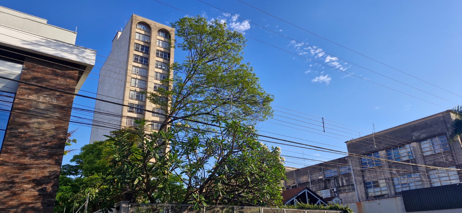 Dia de sol em Rio Claro; céu azul; ensolarado; dia quente