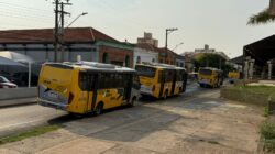 Há quase dois anos que a empresa Sou presta o serviço de transporte coletivo, mas nos últimos dias reduziu as linhas