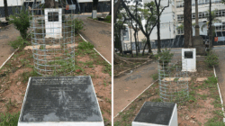 À frente, o que seria a nova árvore da liberdade. Ao fundo, o que restou do tronco da árvore original com mais de 130 anos de história