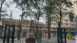 Tempo chuvoso em Rio Claro; Jardim Público