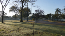Sol, frio em Rio Claro