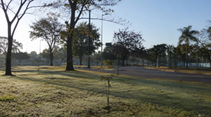 Sol, frio em Rio Claro