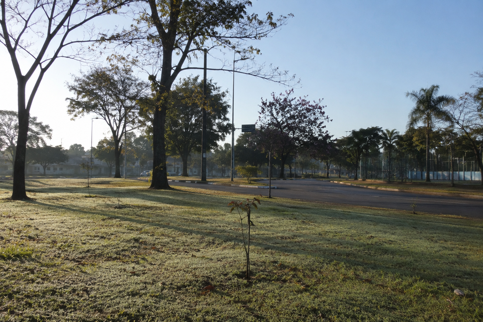Sol, frio em Rio Claro