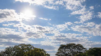 Previsão do tempo em Rio Claro; clima; tempo; sol