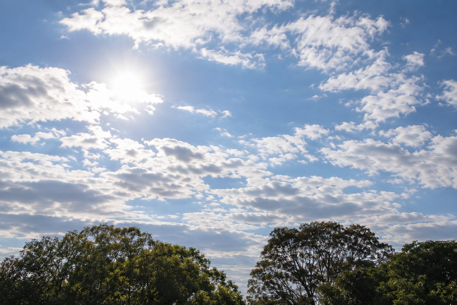 Previsão do tempo em Rio Claro; clima; tempo; sol