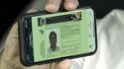 Com o novo prazo, automaticamente, esses documentos ficam válidos até 9 de dezembro de 2026