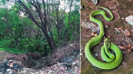 1 - Erosão volta a avançar e preocupa moradores no Jardim Bandeirantes, em Rio Claro ; 2 - Cobra encontrada na região do Jardim Bandeirantes