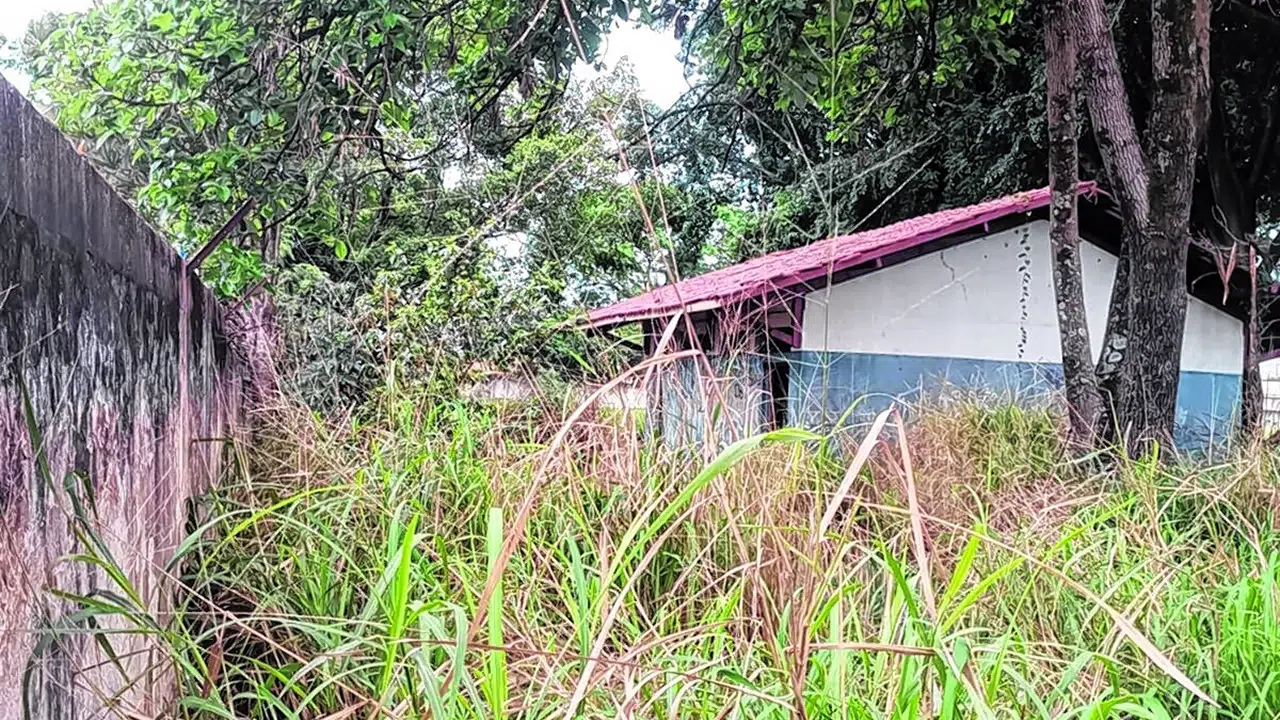 Fotos enviadas ao Jornal Cidade mostram as condições que se encontram o imóvel
