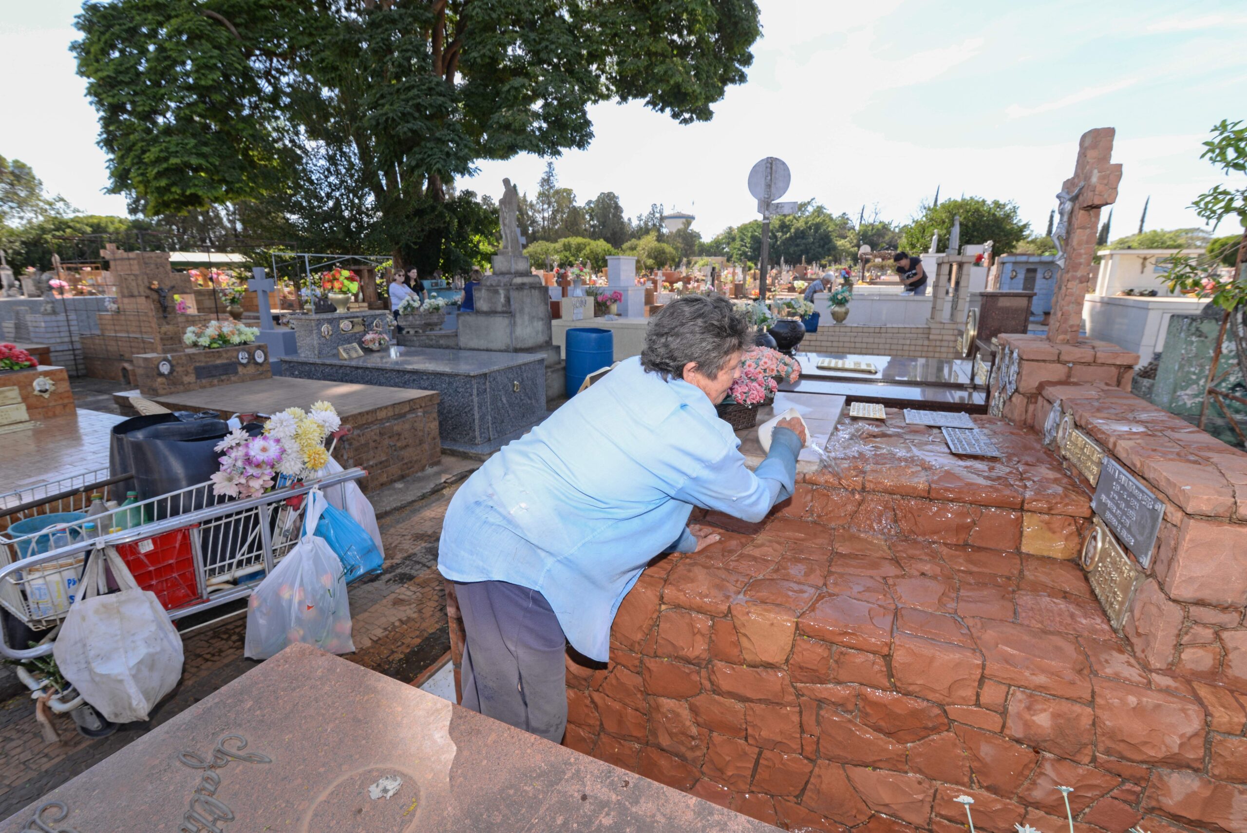 Limpeza dos túmulos pode ser realizada até sexta (30). Foto: Arquivo JC
