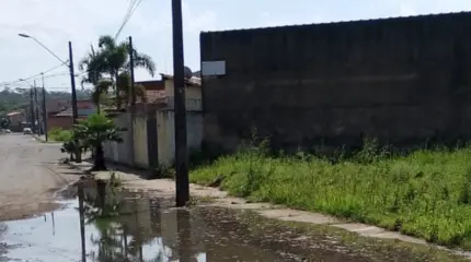 Munícipes relatam problemas de infraestrutura no bairro Jardim Novo Wenzel, incluindo mato alto, buracos, acúmulo de água, vazamentos e descarte irregular de lixo