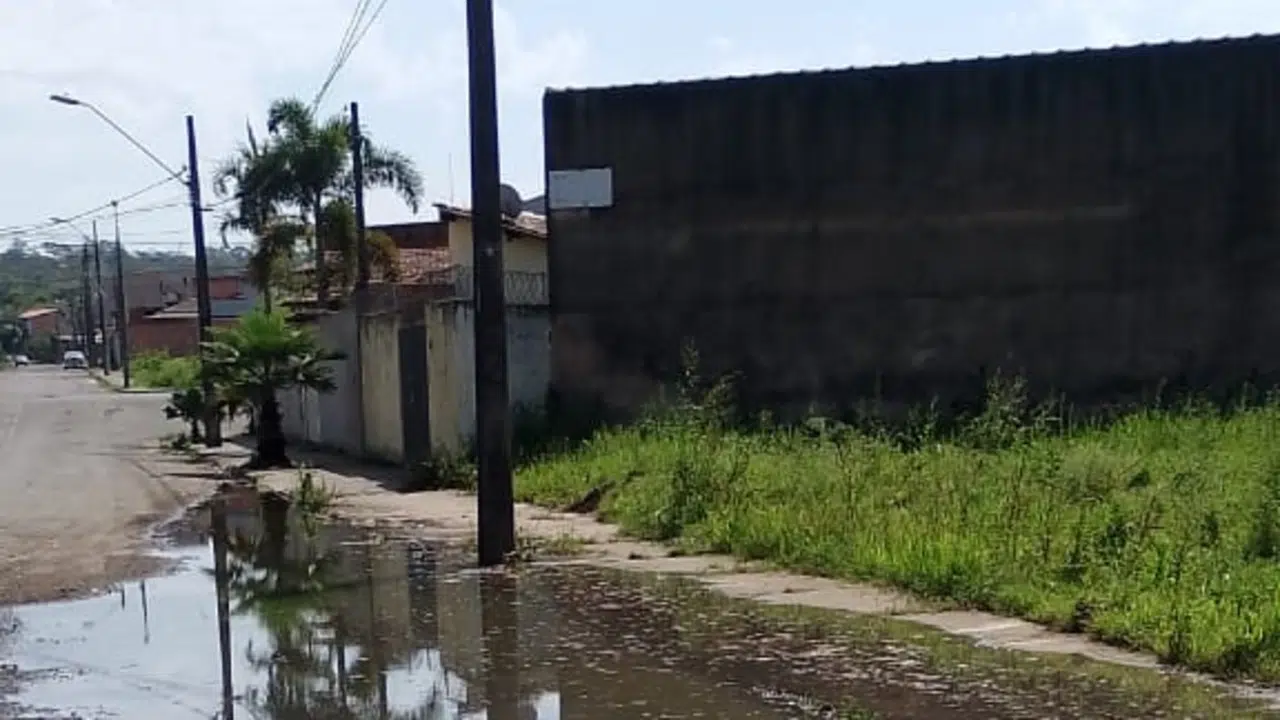 Munícipes relatam problemas de infraestrutura no bairro Jardim Novo Wenzel, incluindo mato alto, buracos, acúmulo de água, vazamentos e descarte irregular de lixo